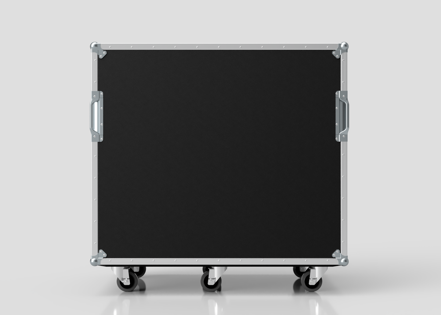 19U Double Bay Rack Case