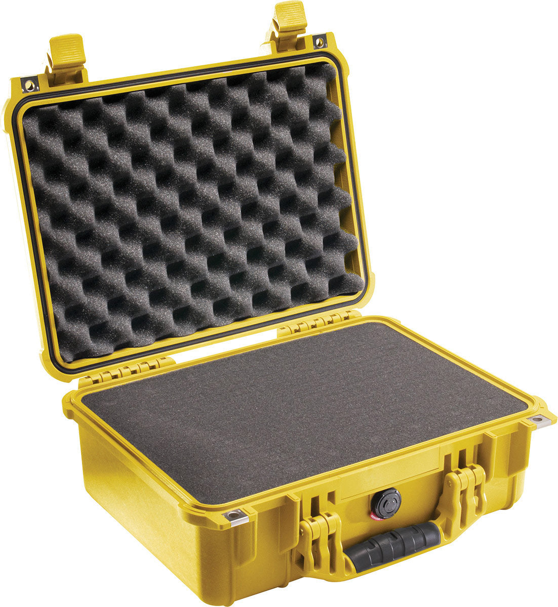 1450EU Protector Case